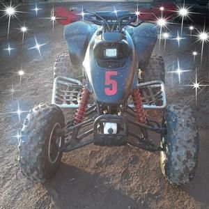 Meet your Posher, Paul